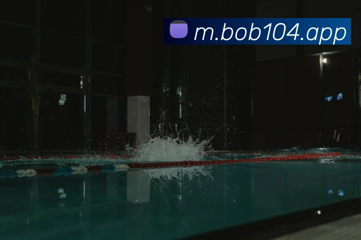 bob半岛体育官网平台平台生态图